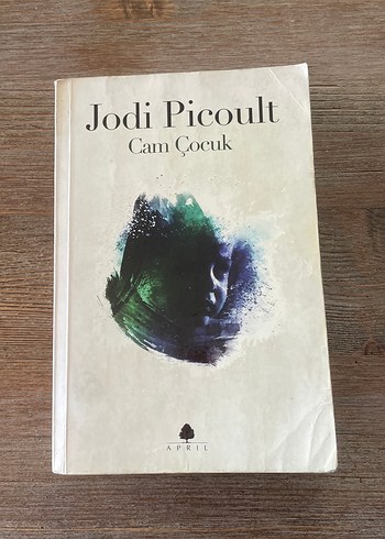 Cam Çocuk - Jodi Picoult