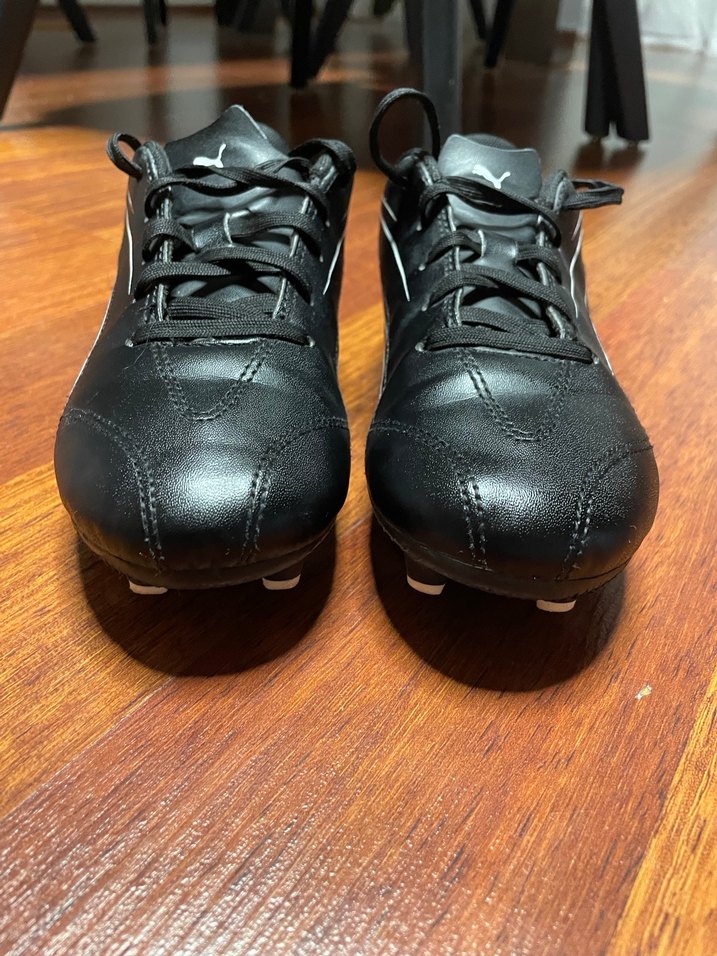 Puma krampon - Görsel 5