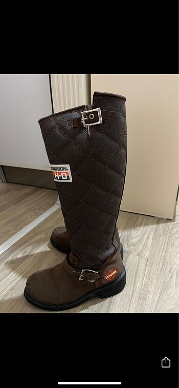 36 Beden Harley çizme