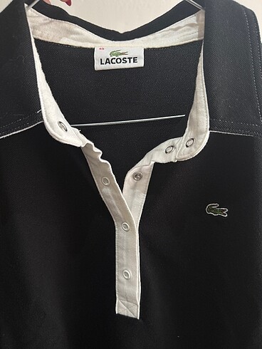 Lacoste polo yaka tshirt