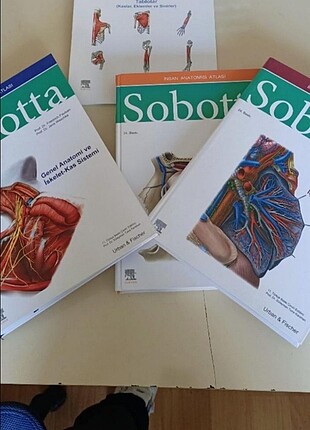 #sobotta#antomi#insan anatomisi #atlas #tıp 
