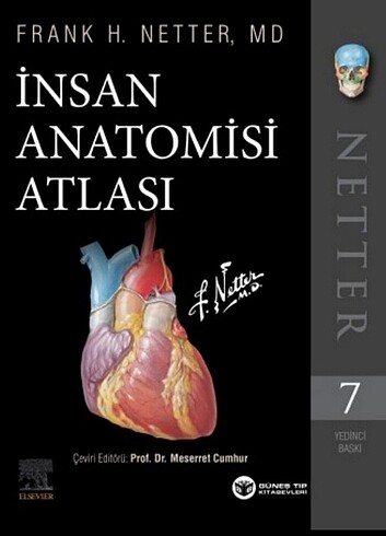 Netter anatomi Atlası 