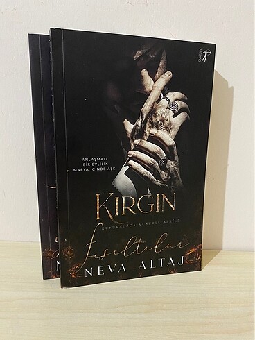  Kusursuzca kusurlu serisi 2 kitap