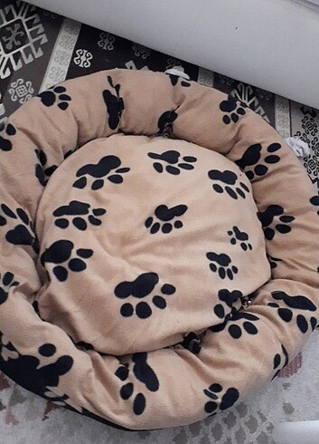 Köpek yatağı