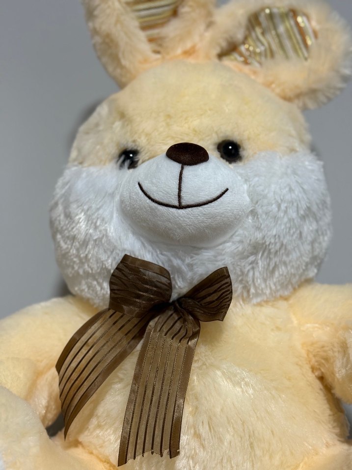 Bej Peluş Tavşan Oyuncak - Görsel 2