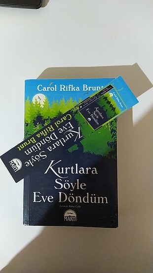 Carol Rifka Brunt-Kurtlara Söyle Eve Döndüm