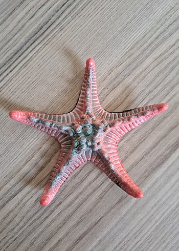 Deniz Yıldızı Figür