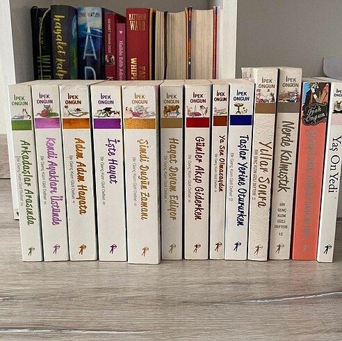 bir genc kizin gizli defteri serisi