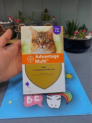 Bayer advantage multi kedi iç dış parazit damlası