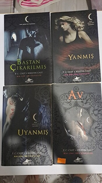Diğer Gece evi serisi