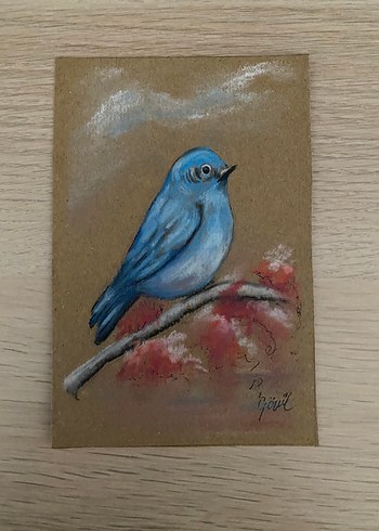 Mavi Kuşlu Pastel Tablo