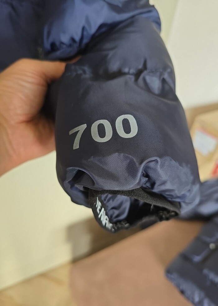 # THE NORTH FACE ŞİŞME MONT TAM DOLUM ÜST KISMI KAPİTONE ALTI JE - Görsel 5