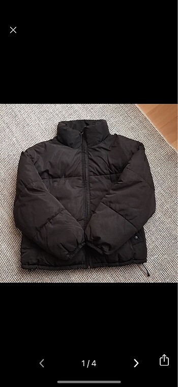 pull bear mont