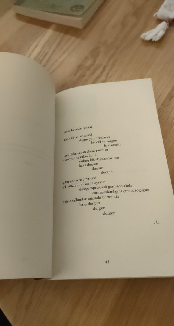 Ayrılık Sevdaya Dahil - Attilâ İlhan - Görsel 3