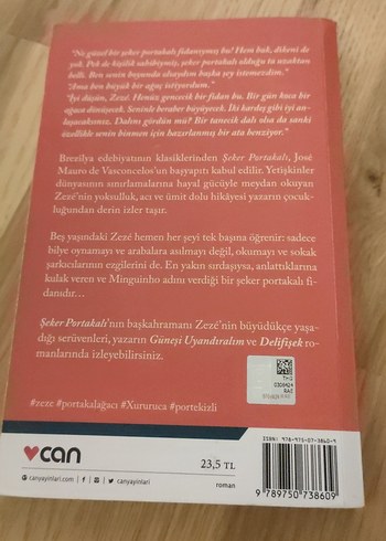 Şeker Portakalı - José Mauro de Vasconcelos - Görsel 2