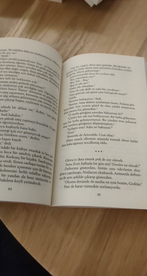 Şeker Portakalı - José Mauro de Vasconcelos - Görsel 3