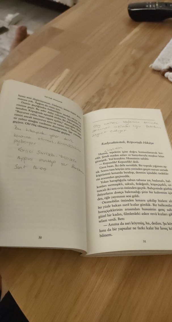 Sait Faik Abasıyanık - Son Kuşlar Romanı - Görsel 3