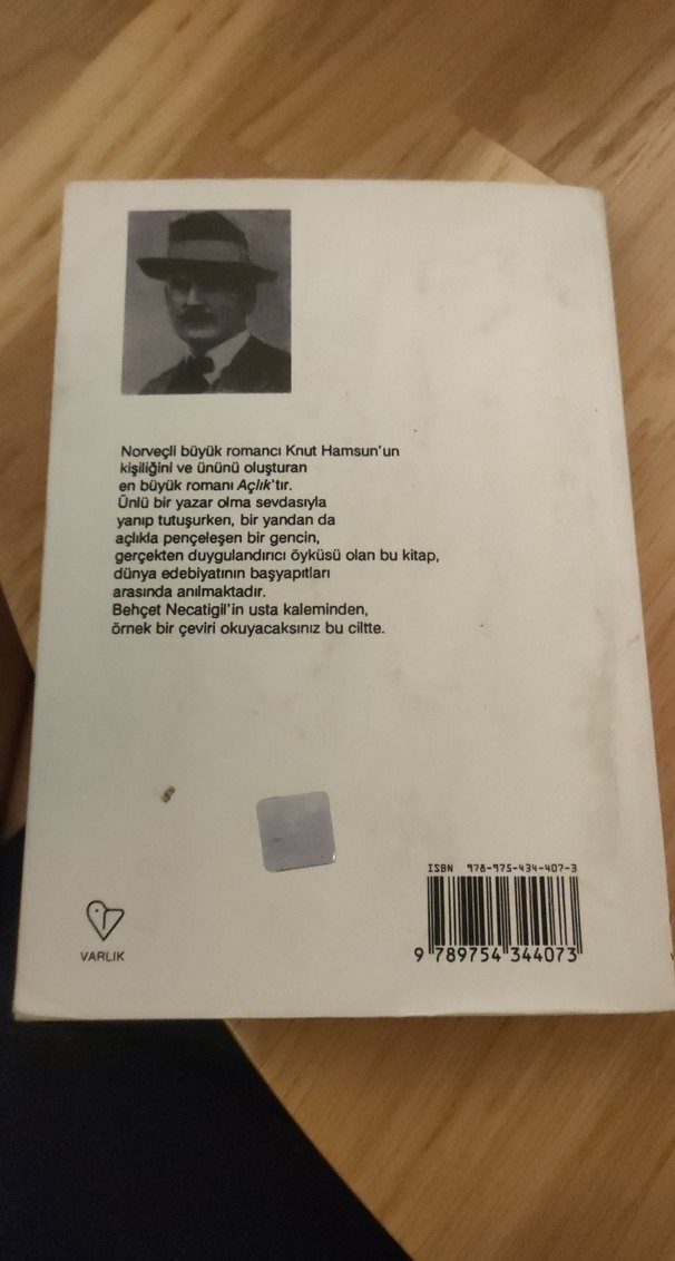 Knut Hamsun - Açlık Romanı - Görsel 3