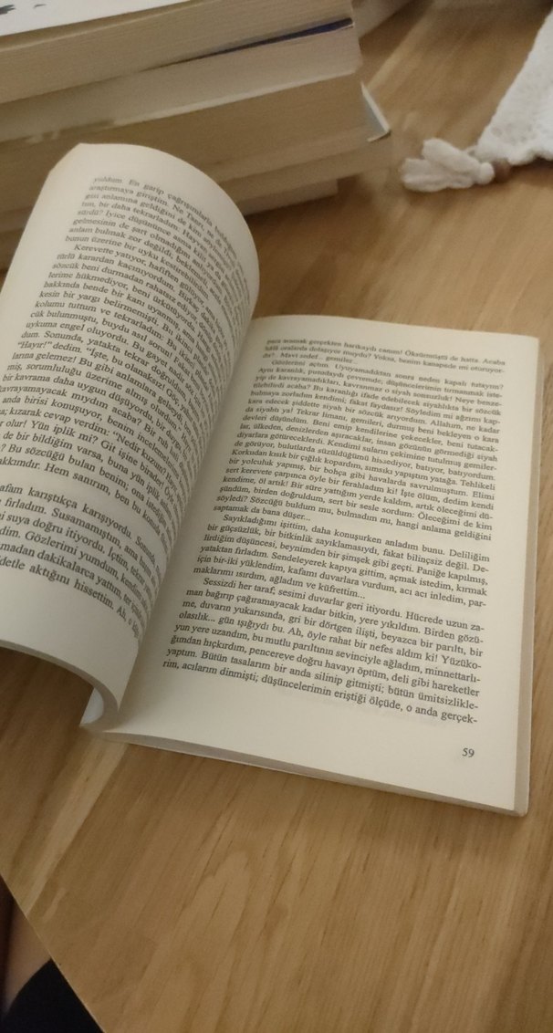 Knut Hamsun - Açlık Romanı - Görsel 2