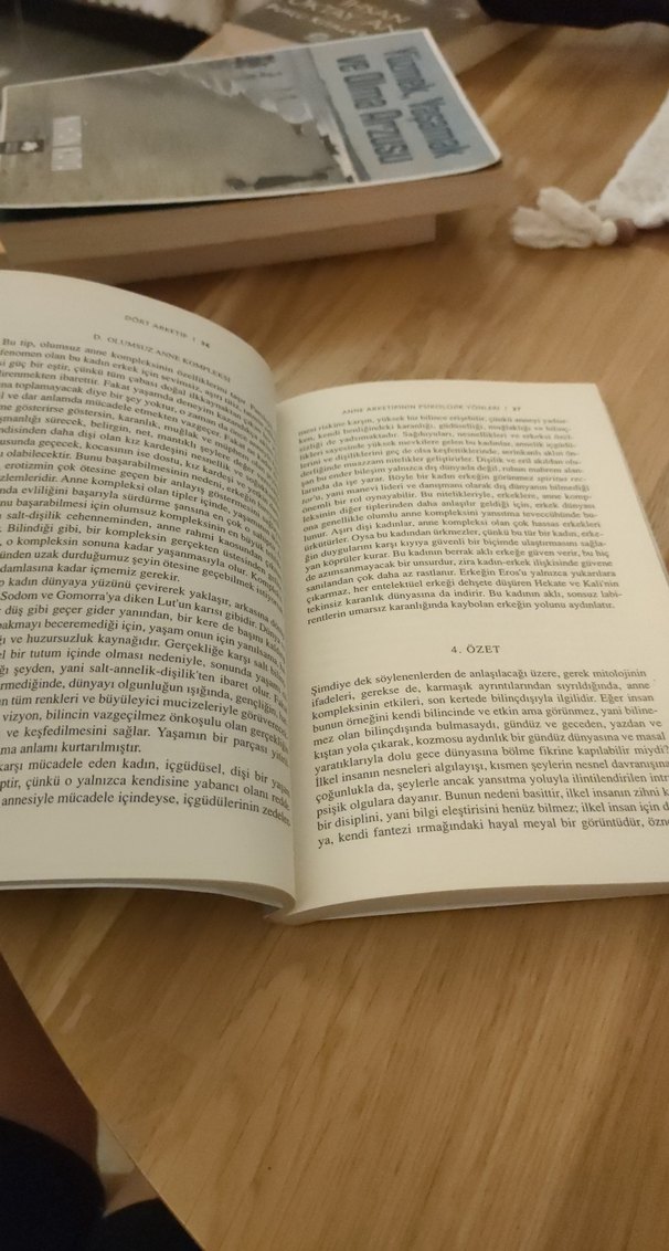 Carl Gustav Jung - Dört Arketip Kitabı - Görsel 3