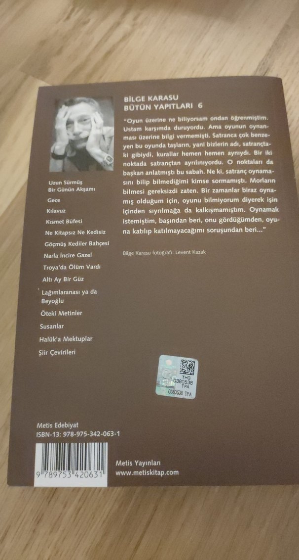 Göçmüş Kediler Bahçesi - Bilge Karasu - Görsel 2