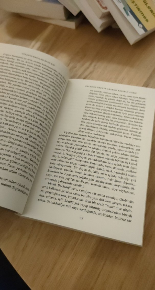 Göçmüş Kediler Bahçesi - Bilge Karasu - Görsel 3