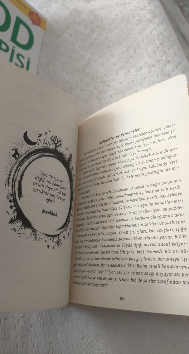 Masallarla Yola Çık - Judith Malika Liberman - Görsel 3