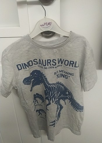 Gri Erkek Çocuk Baskılı Kısa Kollu Tişört - Görsel 3