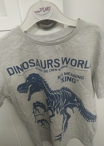 Gri Erkek Çocuk Baskılı Kısa Kollu Tişört - Görsel 2
