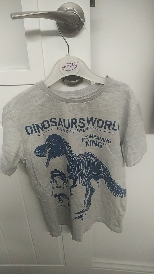 Gri Erkek Çocuk Baskılı Kısa Kollu Tişört - Görsel 3