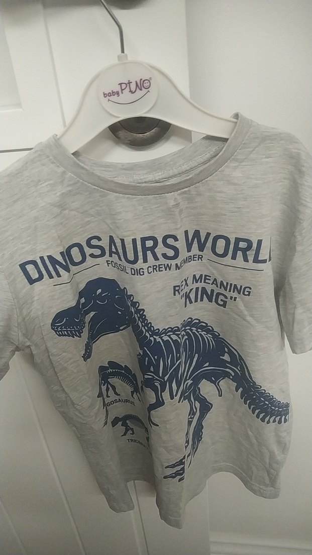 Gri Erkek Çocuk Baskılı Kısa Kollu Tişört - Görsel 2