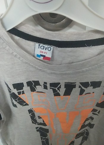 Gri Erkek Çocuk Kısa Kollu Baskılı Tişört - Görsel 2