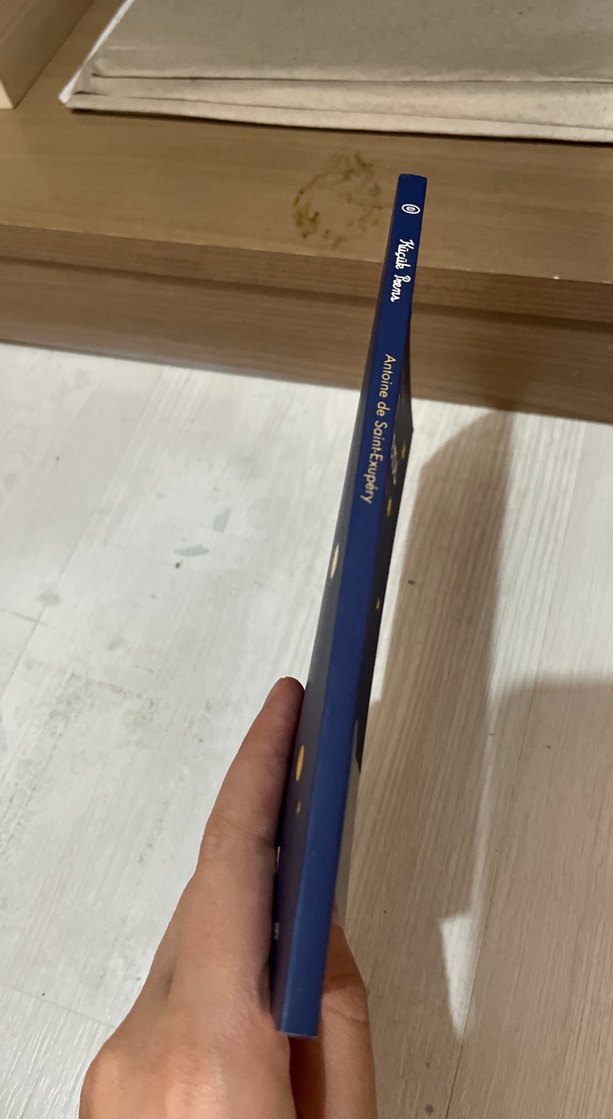 Küçük Prens - Antoine de Saint-Exupéry - Görsel 3