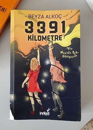 3391 Kilometre