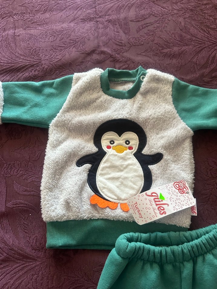 Renkli Penguen Desenli Bebek Erkek Takımı - Görsel 2