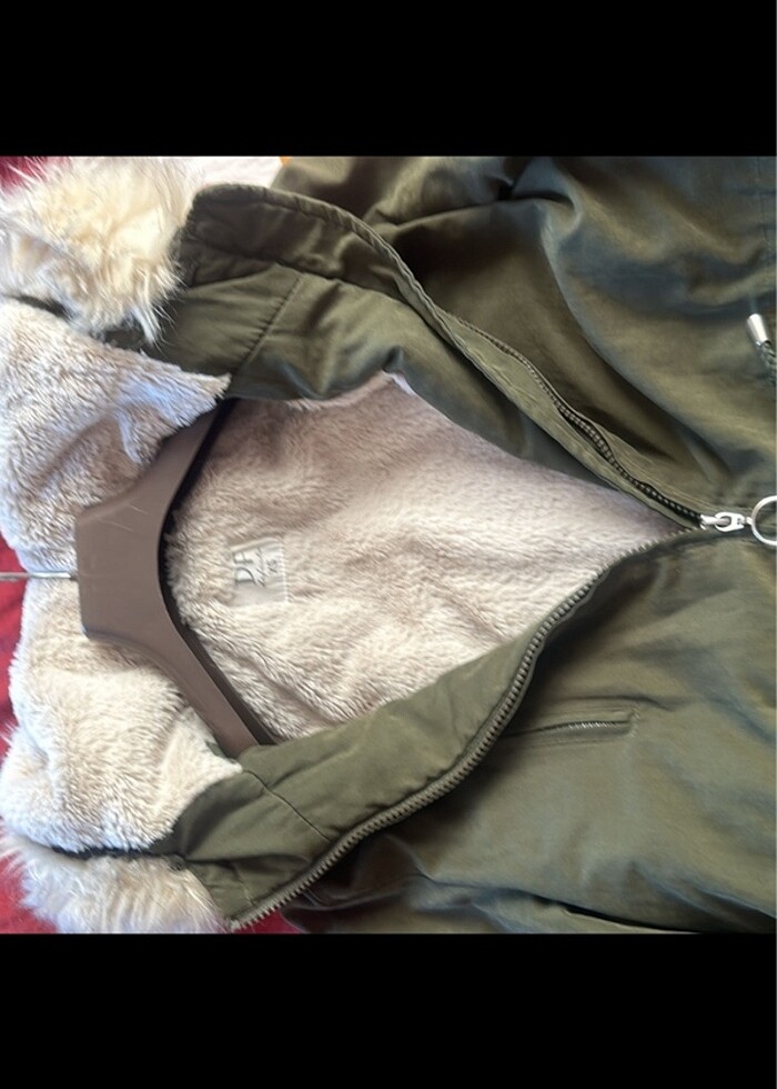 Hani kaban - Görsel 2