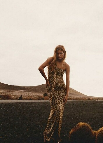m Beden kahverengi Renk Zara leopar top bluz