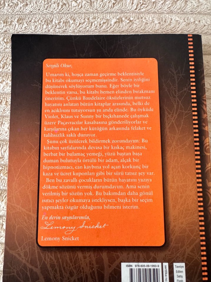 Talihsiz Serüvenler Dizisi 4. Kitap Bitik Orman - Görsel 2