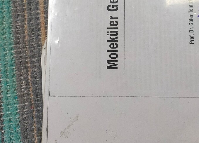 Moleküler genetik