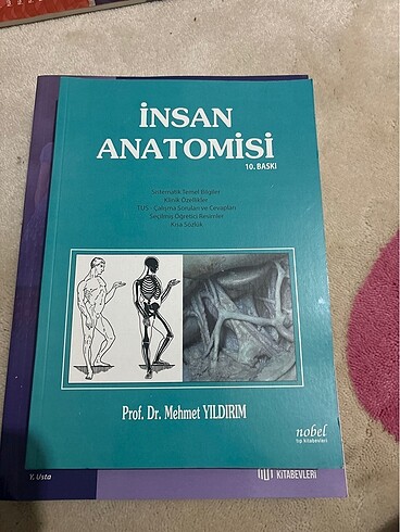 insan anotomisi