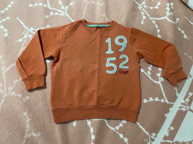 6 adet 12-18 ay karışık sweatshirt-kazak - Görsel 5