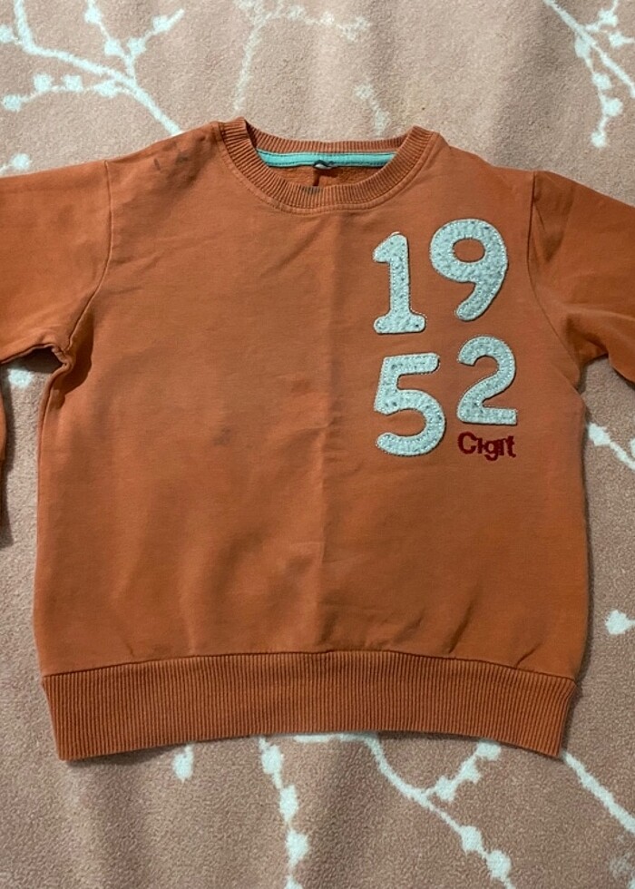 6 adet 12-18 ay karışık sweatshirt-kazak - Görsel 5