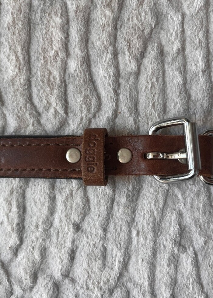 Doggie boyun tasması - Görsel 2