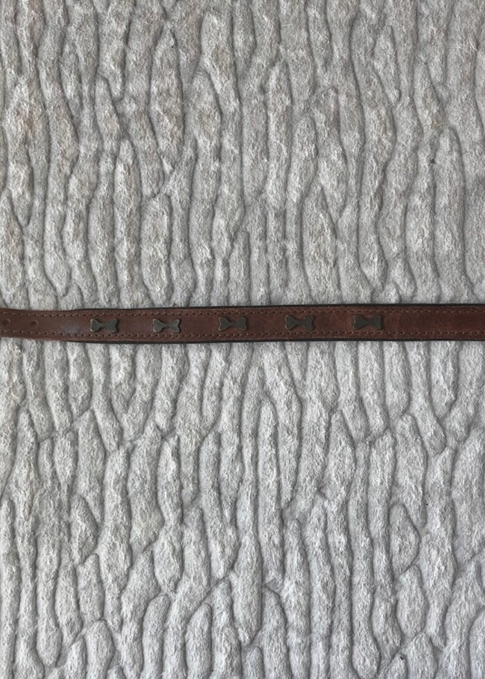 Doggie boyun tasması - Görsel 3