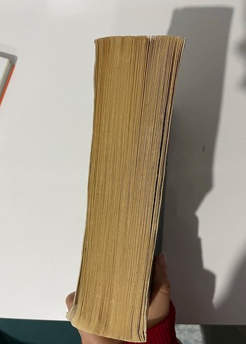 Reşat Nuri Güntekin - Çalıkuşu Romanı - Görsel 3