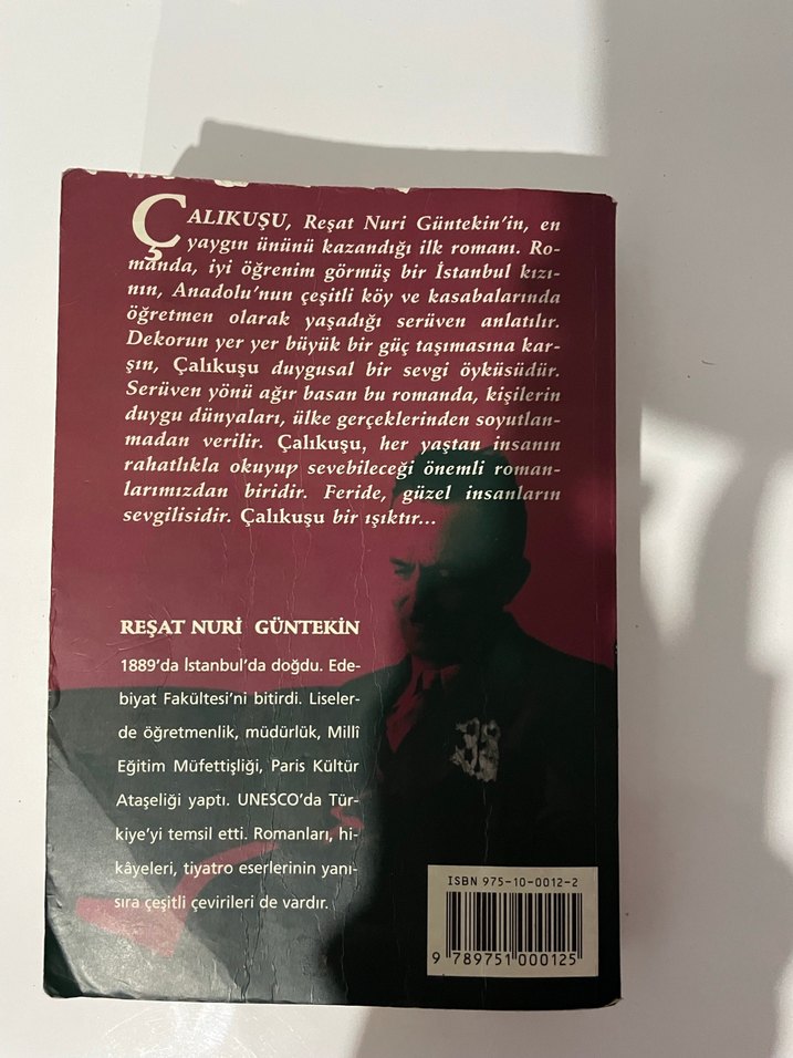 Reşat Nuri Güntekin - Çalıkuşu Romanı - Görsel 2