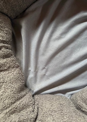 Gri Kedi Yatağı - Görsel 3