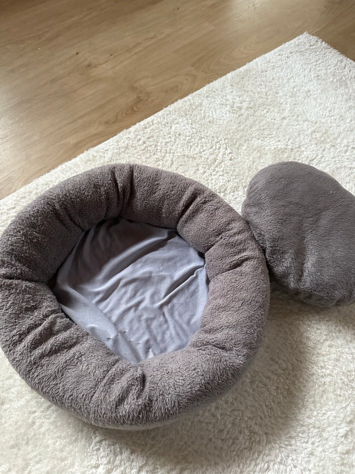 Gri Kedi Yatağı - Görsel 2