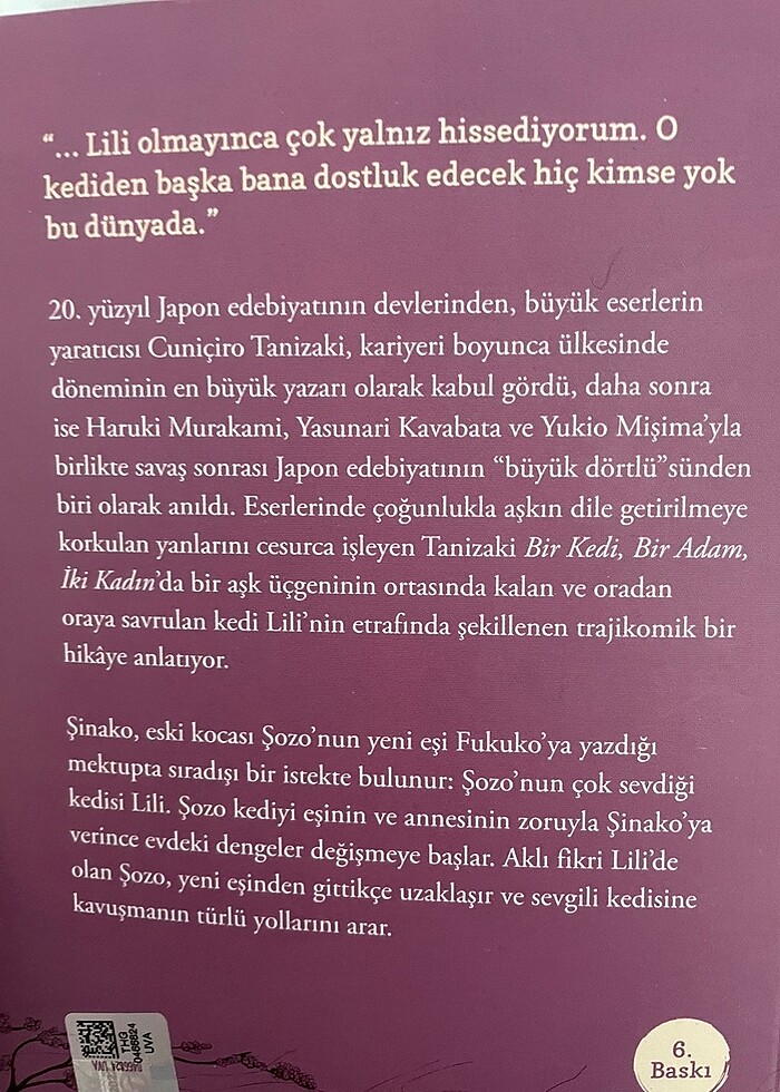 Bir kedi bir adam iki kadın - Görsel 2