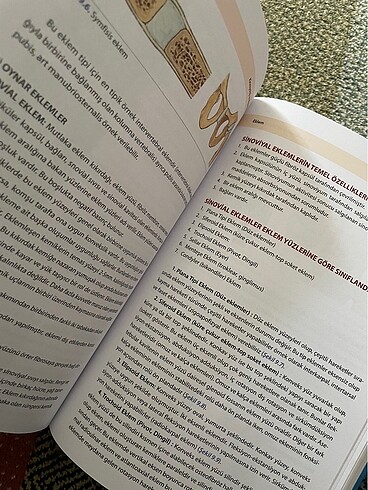 Kinezyoloji ve Biyomekanik - Görsel 2